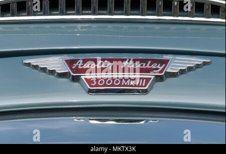 Austin Healey 3000 Mark III Marque auf Motorhaube Stockfoto