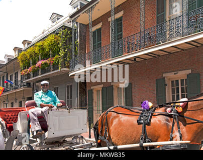 Happy Kutscher, French Quarter, New Orleans, Louisiana. Stockfoto