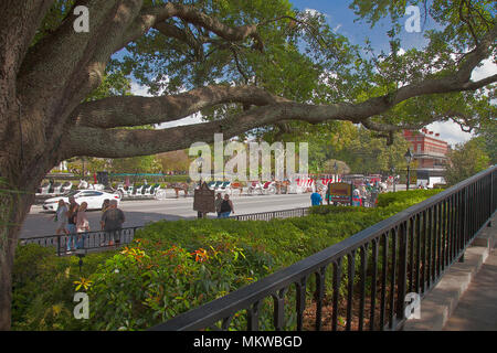 Alter eichen Schatten Decatur Street gehwege am unteren Rand der Jackson Square, New Orleans, Louisiana. Stockfoto