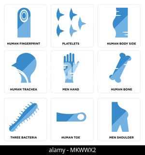 Satz von 9 einfache editierbare Ikonen wie Männer Schulter, menschlichen Zehe, drei Bakterien, Bein, Hand, Luftröhre, Karosserieseite, Blutplättchen, Fingerabdruck, können Fo. Stock Vektor