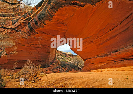 Kachina Bridge in Natural Bridges National Monument in Utah Stockfoto