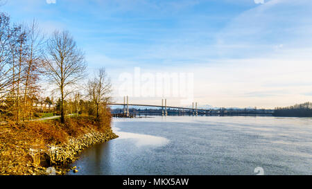 Golden Ears Bridge über den Fraser River gesehen von der Trans Canada Trail in der Nähe des Bonson Gemeinschaft in Pitt Meadows, British Columbia, Kanada Stockfoto