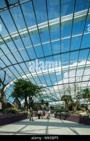 Vertikaler Innenblick auf Flower Dome, Gardens by the Bay, ein beliebtes Reiseziel für einheimische und internationale Touristen. Singapur. Stockfoto