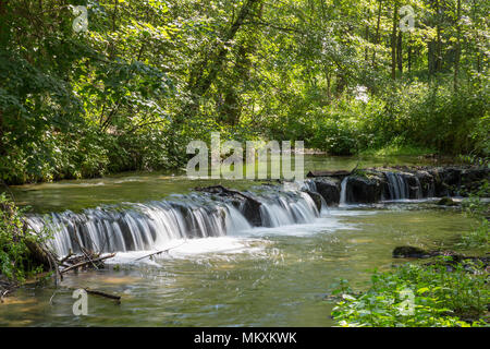 Kaskaden auf tanew Fluss im Nationalpark Roztocze. Stockfoto