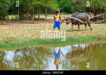 Singburi, Thailand - 19. Mai 2013: Cattleman ohne Shirt ziehen Buffalo Wandern auf den ländlichen Bereich in Singburi, Thailand Stockfoto