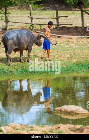 Singburi, Thailand - 19. Mai 2013: Cattleman ohne Shirt ziehen Buffalo Wandern auf den ländlichen Bereich in Singburi, Thailand Stockfoto