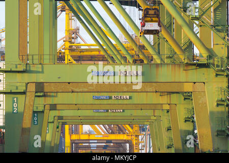 Nahaufnahme des Hafen Industriecontainerkrans im Hebeprozess am Morgen. Stockfoto