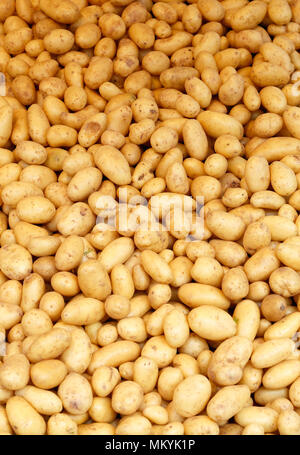 Nahaufnahme von frischen Kartoffeln bei der Bauernmarkt. Stockfoto