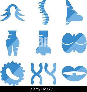 Satz von 9 einfache editierbare Ikonen wie Tonsillen, Mascu, weiße Blutkörperchen, menschliche Kleinhirn, Nasenloch, weiblichen Pubis, große Nase, Wirbelsäule, Haar, kann Fo. Stock Vektor