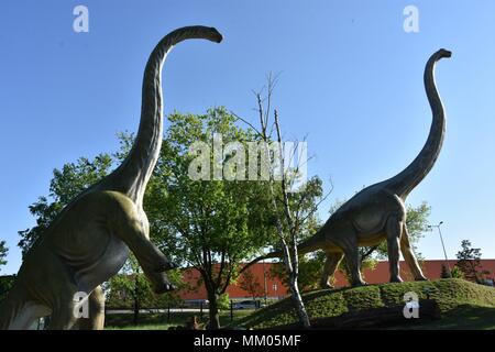 Lubin, Polen. 8. Mai, 2018. Mai 08.2018 Lubin Polen Dinosaur Park in Polen Diplodok Diplodocus Credit: Piotr Twardysko/ZUMA Draht/Alamy leben Nachrichten Stockfoto