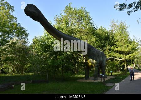 Lubin, Polen. 8. Mai, 2018. Mai 08.2018 Lubin Polen Dinosaur Park in Polen Mamenchaizaur Mamenchisaurus Credit: Piotr Twardysko/ZUMA Draht/Alamy leben Nachrichten Stockfoto