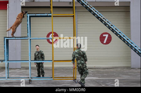 (180509) - CHENGDU, Mai 9, 2018 (Xinhua) - Fire Services officer Jiang Yuhang (L) und Soldat yang Yubing Züge mit einem Rescue Dog in Kaili Stadt, im Südwesten Chinas Provinz Guizhou, 7. Mai 2018. Am 17. Mai 2008, Jiang, ein 20-jähriger Highway Administration Mitarbeiter, wurde von den Feuerwehrmännern ausarbeiten, 123 Stunden nach war er in den Trümmern an Quake gefangen - schlagen Yingxiu Township von Wenchuan County, im Südwesten Chinas in der Provinz Sichuan. Jiang war ein Überlebender des 8.0 - Erdbeben, die Sichuan Wenchuan Grafschaft am 12. Mai 2008 getroffen. Das Beben links mehr als 69.000 Tote, 374.000 Verletzte, 18.000 mi Stockfoto