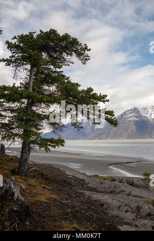 Turnagain Arm, Wattflächen, Bäume, Berge und Wasser. In der Nähe von Hoffnung, Alaska. Felsige Küstenlinie. Die schneebedeckten Chugach Mountains. Kenai Halbinsel Windy Point Stockfoto