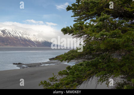 Turnagain Arm, Wattflächen, Bäume, Berge und Wasser. In der Nähe von Hoffnung, Alaska. Felsige Küstenlinie. Die schneebedeckten Chugach Mountains. Kenai Halbinsel Windy Point Stockfoto