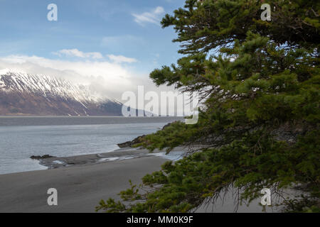 Turnagain Arm, Wattflächen, Bäume, Berge und Wasser. In der Nähe von Hoffnung, Alaska. Felsige Küstenlinie. Die schneebedeckten Chugach Mountains. Kenai Halbinsel Windy Point Stockfoto