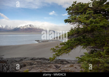 Turnagain Arm, Wattflächen, Bäume, Berge und Wasser. In der Nähe von Hoffnung, Alaska. Felsige Küstenlinie. Die schneebedeckten Chugach Mountains. Kenai Halbinsel Windy Point Stockfoto