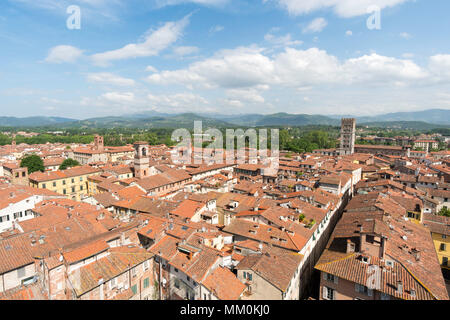 Blick von der Spitze des Torre Delle Ore, Lucca, Toskana, Italien, Europa Stockfoto