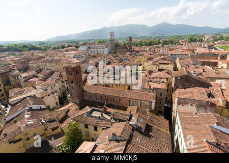 Blick von der Spitze des Torre Delle Ore, Lucca, Toskana, Italien, Europa Stockfoto