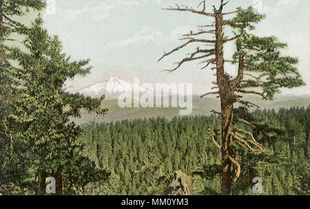 Blick auf den Mount Hood. Portland. 1910 Stockfoto