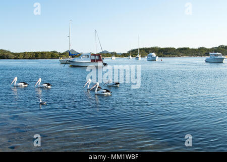 Pelikane und Boote auf Myall Lake in Australien. Stockfoto