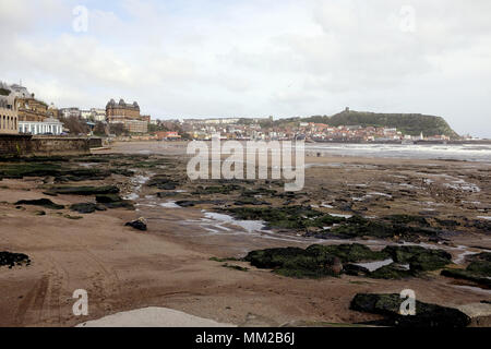 Scarborough, Yorkshire, UK. April 30, 2018. Urlauber die Erkundung der Strand bei Ebbe vom Spa übernommen in Richtung der Stadt Scarborough suchen Stockfoto