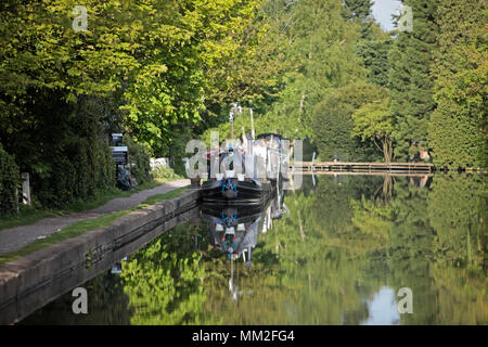 Bilder auf dem Leinpfad des Grand Union Canal in der Nähe von Rickmansworth, Hertfordshire an einem sonnigen Tag, Habe das Feiertagswochenende im Mai 2018. Stockfoto