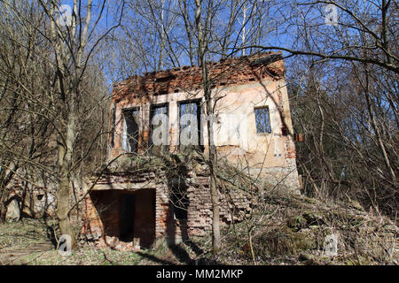 Die Ruinen der alten Gebäude im Wald Stockfoto