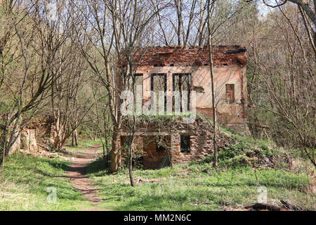 Die Ruinen der alten Gebäude im Wald Stockfoto