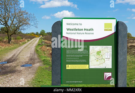 Westleton Heide, Suffolk, England UK Stockfoto