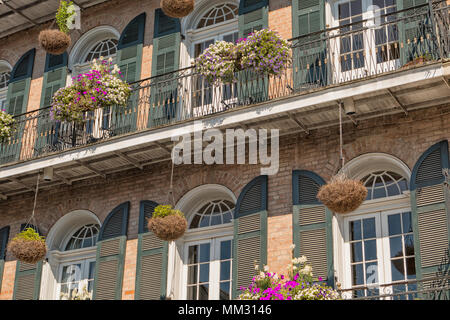 Hängende Pflanzgefäße und Balkonkästen hängen von einem schmiedeeisernen Balkon im French Quarter von New Orleans, Louisiana Stockfoto