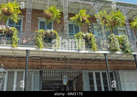 Hängende Pflanzgefäße und Balkonkästen hängen von einem schmiedeeisernen Balkon im French Quarter von New Orleans, Louisiana Stockfoto