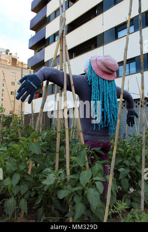 Städtischer Gemüsegarten Zuteilung mit vogelscheuche in Barcelona Stockfoto