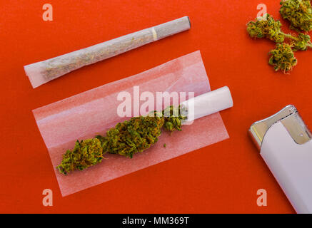 Das Rollen einer gemeinsamen von Marihuana. Blick auf zwei Gelenke, man bereit zu rollen, leichter und Marihuana Knospen auf rotem Hintergrund isoliert. Stockfoto