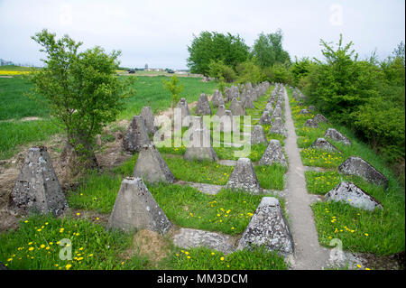 Dragon's Teeth der Nazi-deutschen Festungsfront Oder-Warthe-Bogen (Befestigte vordere Oder-Warthe-Bogen) im Polnischen der Miedzyrzecki Rejon Umocniony Herr namens Stockfoto