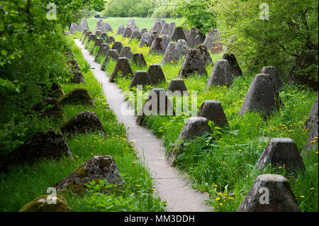 Dragon's Teeth der Nazi-deutschen Festungsfront Oder-Warthe-Bogen (Befestigte vordere Oder-Warthe-Bogen) im Polnischen der Miedzyrzecki Rejon Umocniony Herr namens Stockfoto