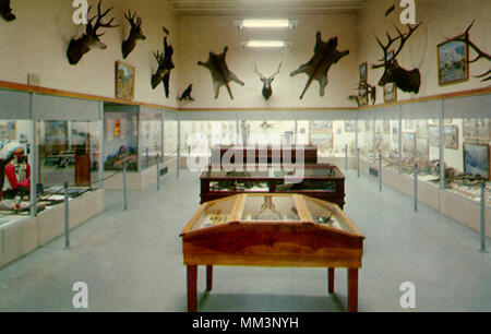 Natural History Hall. Vernal. 1957 Stockfoto