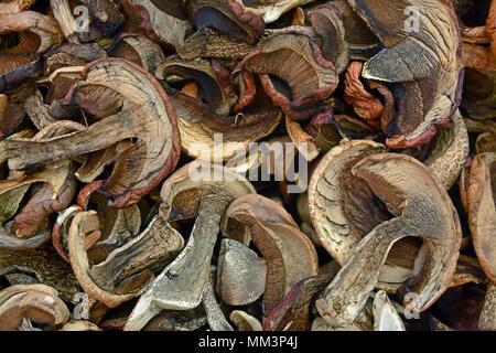 Ein Haufen getrockneter Steinpilz Pilz Schichten Stockfoto