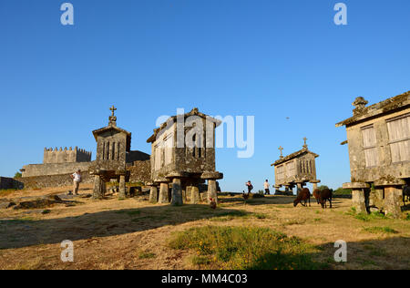 Espigueiros, die alten und traditionellen Stein Getreidespeicher der Lindoso. Peneda Gerês National Park, Portugal Stockfoto