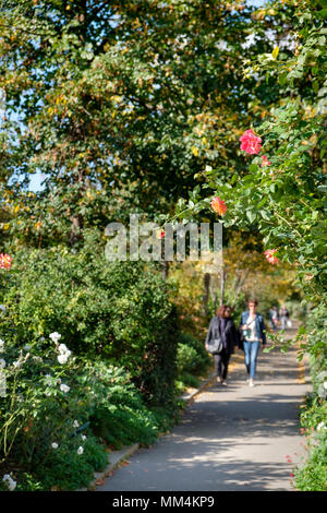 Die Menschen genießen die Promenade Plantée oder Coulée Verte René-Dumont, erhöhte Park im 12. Arrondissement, Paris, Frankreich Stockfoto