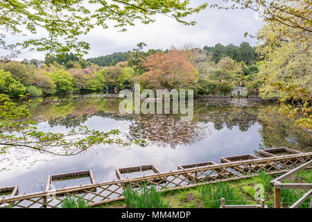 Den schönen Garten des Ryoan-ji Tempel, Kyoto, Japan Stockfoto