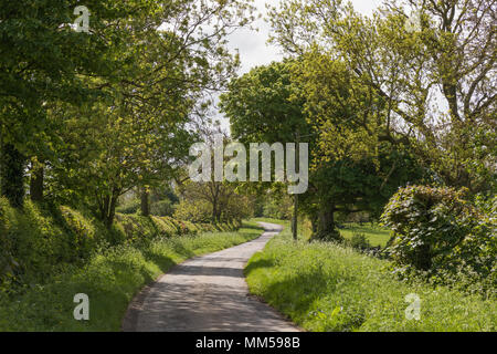 Ländliche Northamptonshire - einen schmalen Feldweg Winde zwischen weiten, grünen Verges, Hecken und Bäumen. Die Sonne wirft Schatten auf der Spur. Stockfoto