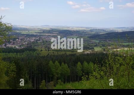 Conifer Plantage Baumkronen. Abstrakte Landschaft verschiedener Schattierungen von Grün. Scotty Hill, Banchory, Schottland, Großbritannien. Mai, 2018. Stockfoto