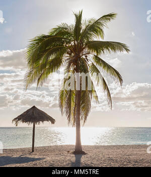 Malerischer Blick auf Playa Ancon Beach und Palm Tree, Trinidad, Kuba Stockfoto