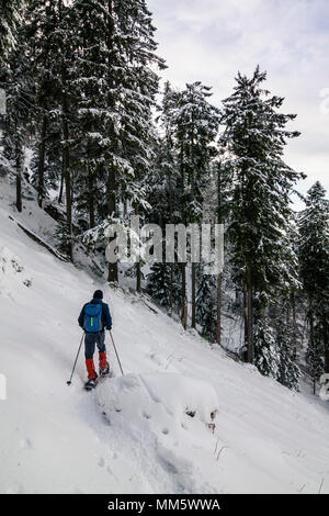 Menschen wandern mit Schneeschuhen im Schwarzwald, Berg Kandel, Baden-Württemberg, Deutschland Stockfoto