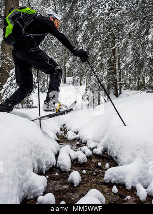 Menschen wandern mit Schneeschuhen im Schwarzwald, Feldberg, Baden-Württemberg, Deutschland Stockfoto