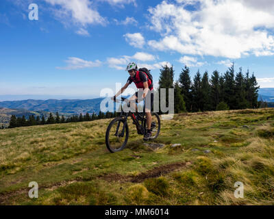 Biker Radfahren auf Single Trail auf Ringelbuhlkopf, Elsass, Frankreich Stockfoto