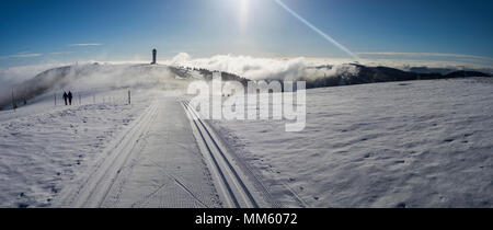 Feldberg seebuck Gipfel mit Turm und zwei Wanderer, Schwarzwald, Deutschland Stockfoto