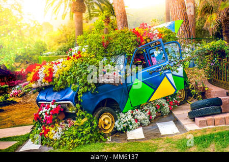 Auto Blumen ökologie Konzept im Frühjahr Blume Kind grünes Fahrzeug Stockfoto