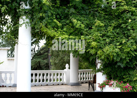 Klassische Steinsäulen und Balustrade im Park Stockfoto