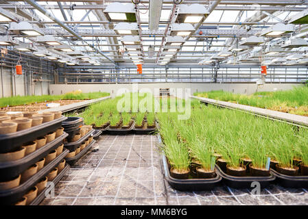 Bayer Unkrautresistenz Competence Center Stockfoto